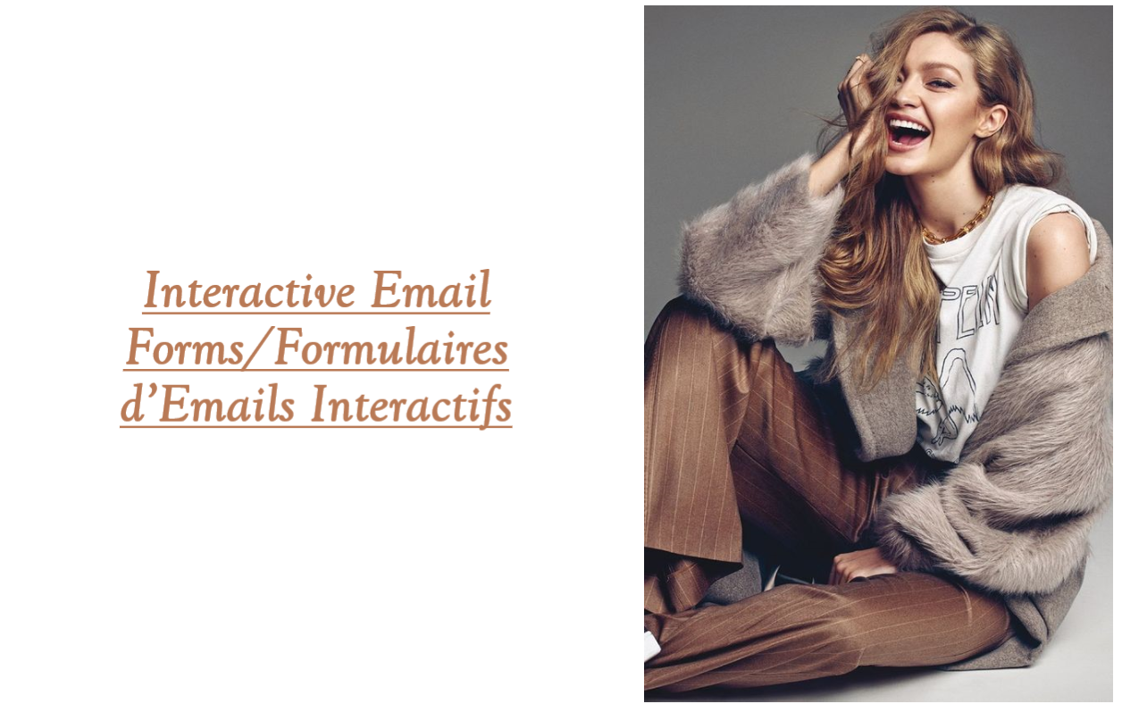 Build an Interactive Email Form/Créez un formulaire email interactif